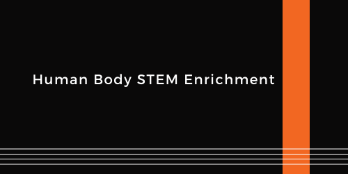 Human Body STEM Enrichment