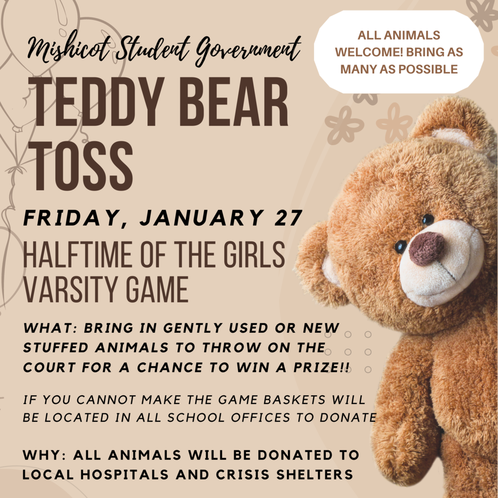 Teddy Bear Toss